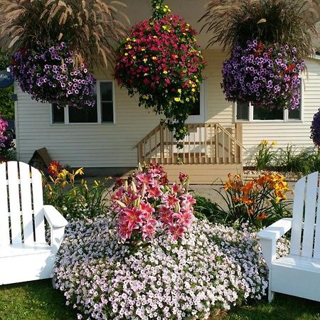 Sunset Motel At Armand'S Gardens Saint Ignace Exterior photo