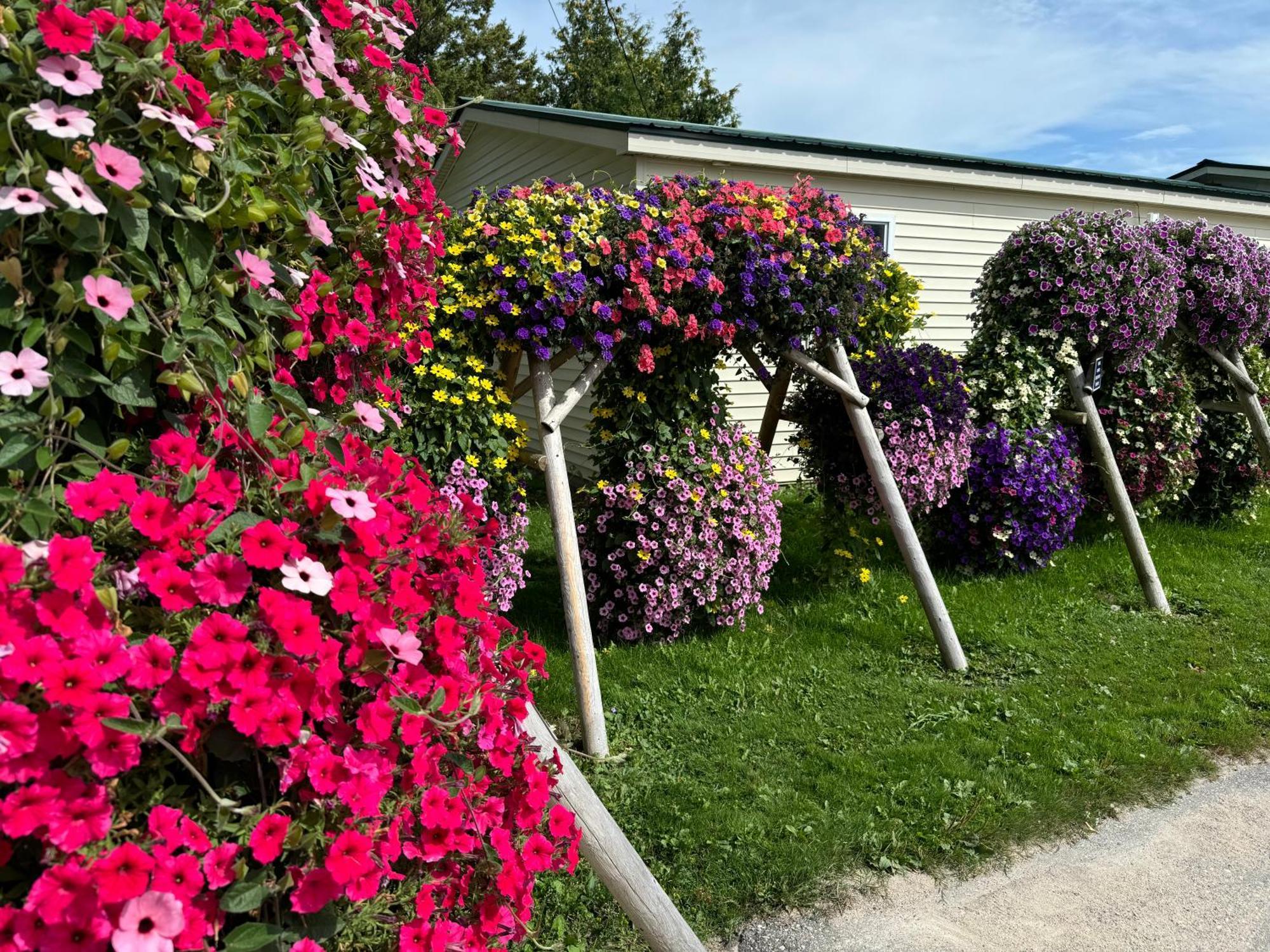 Sunset Motel At Armand'S Gardens Saint Ignace Exterior photo