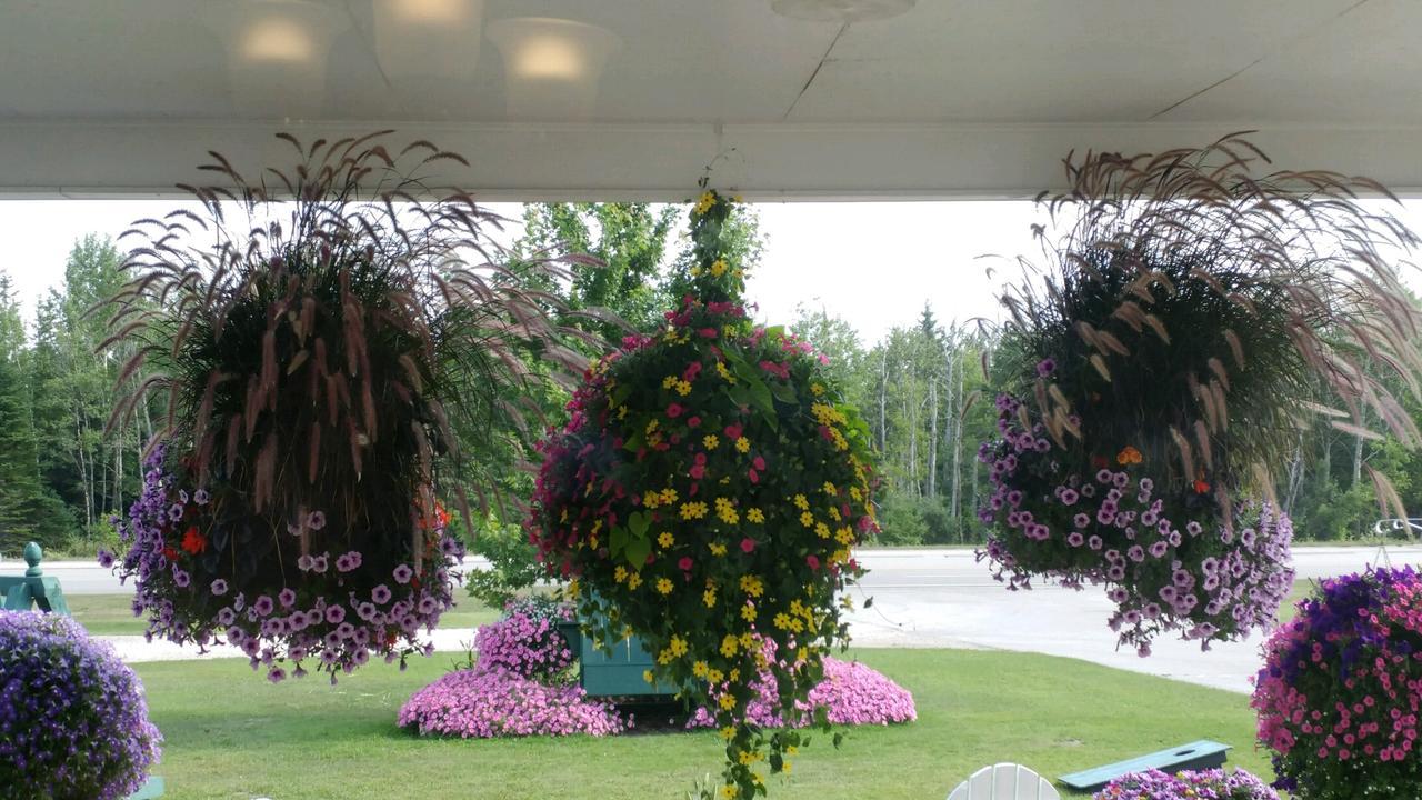 Sunset Motel At Armand'S Gardens Saint Ignace Exterior photo